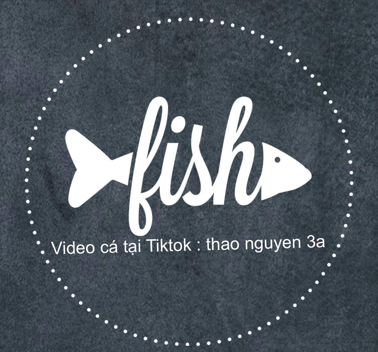 CB79-Combo 10 tép vàng cam dễ nuôi, xinh xắn - Q3 - NH - 2-duoc-ban-tai-Cá cảnh Ngọc Hoàng [zalo: 0934457023 ]