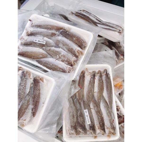 Cá đù một nắng nguyên con-duoc-ban-tai-Hải Sản Phương Châu