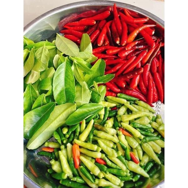 [HỎA TỐC SG] Muối ớt chấm hải sản thịt gà thần thánh siêu ngon 500g-duoc-ban-tai-Hải Sản Phương Châu
