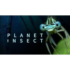 CURIOSITY STREAM - Tài khoản xem phim tài liệu - khoa học - lịch sử - xã hội - tự nhiên 100% tiếng anh (1 năm)-duoc-ban-tai-Nhà sách Hạnh Phúc