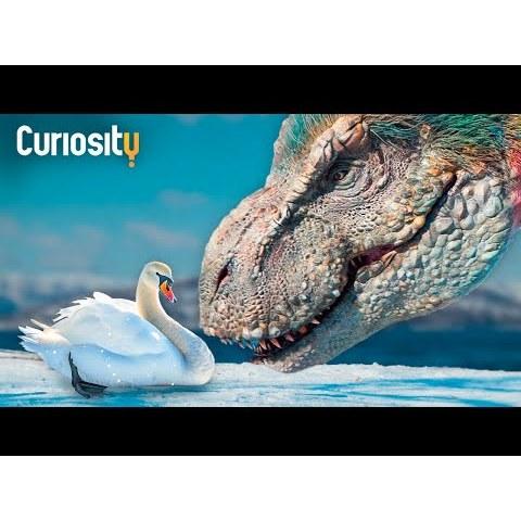 CURIOSITY STREAM - Tài khoản xem phim tài liệu - khoa học - lịch sử - xã hội - tự nhiên 100% tiếng anh (1 năm)-duoc-ban-tai-Nhà sách Hạnh Phúc