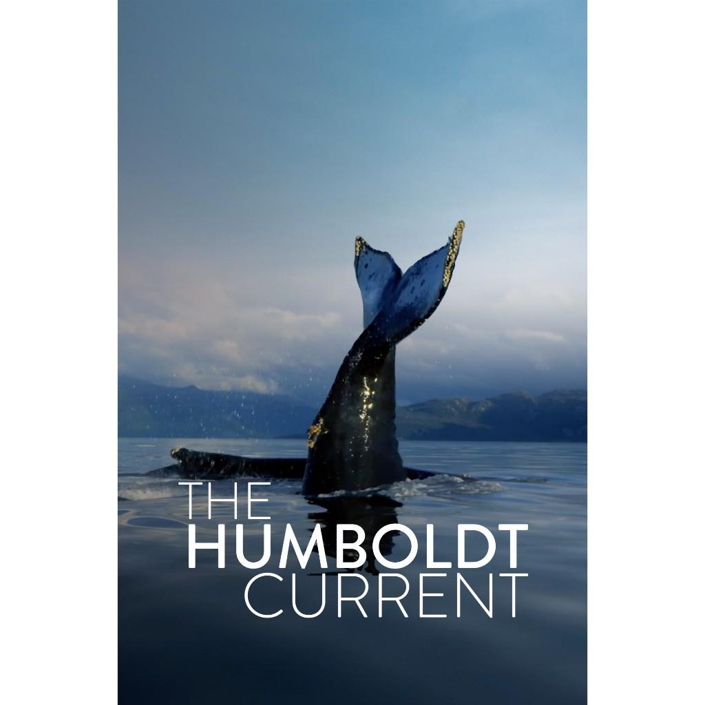 CURIOSITY STREAM - Tài khoản xem phim tài liệu - khoa học - lịch sử - xã hội - tự nhiên 100% tiếng anh (1 năm)-duoc-ban-tai-Nhà sách Hạnh Phúc