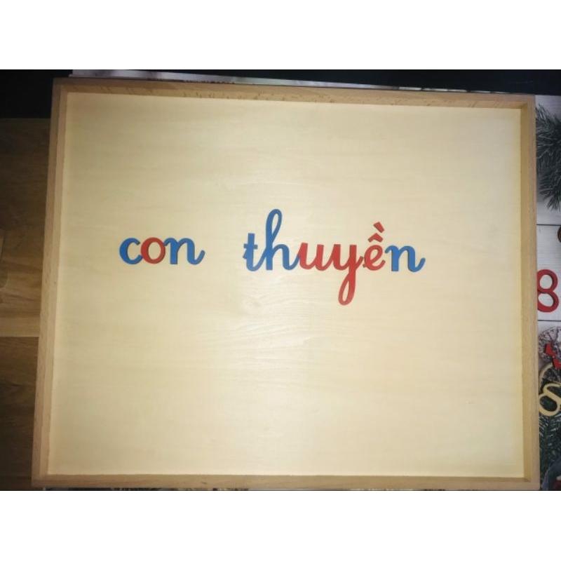 Hot - Bé học tiếng việt thì không thể thiếu bộ giáo cụ montessori này nhé-duoc-ban-tai-Autismshop.vn-Đồ chơi sách học liệu giáo dục đặc biệt