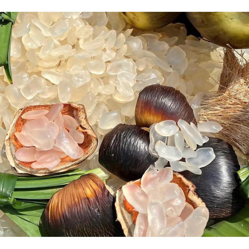 [HỎA TỐC SG] Thốt nốt sấy dẻo không đường thơm ngon-duoc-ban-tai-Hải Sản Phương Châu