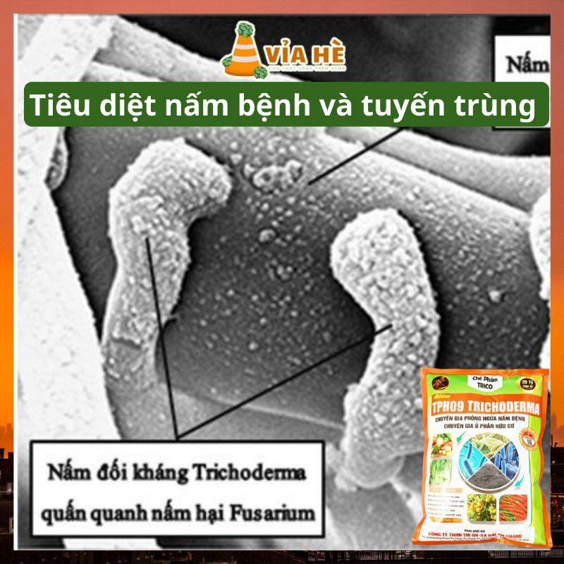 Nấm Đối Kháng Trichoderma Túi 1kg, Chế Phẩm Ủ Rác Nhà Bếp Nhà Vườn, Tăng Sức Đề Kháng Phòng Ngừa Nấm Bệnh-duoc-ban-tai-Vỉa Hè Garden