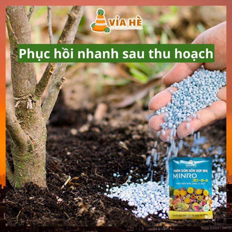 Phân Bón NPK Tổng Hợp Minro 30-9-9 Túi 200g, Chuyên Cho Rau, Cây Ăn Trái, Hoa Kiểng-duoc-ban-tai-Vỉa Hè Garden