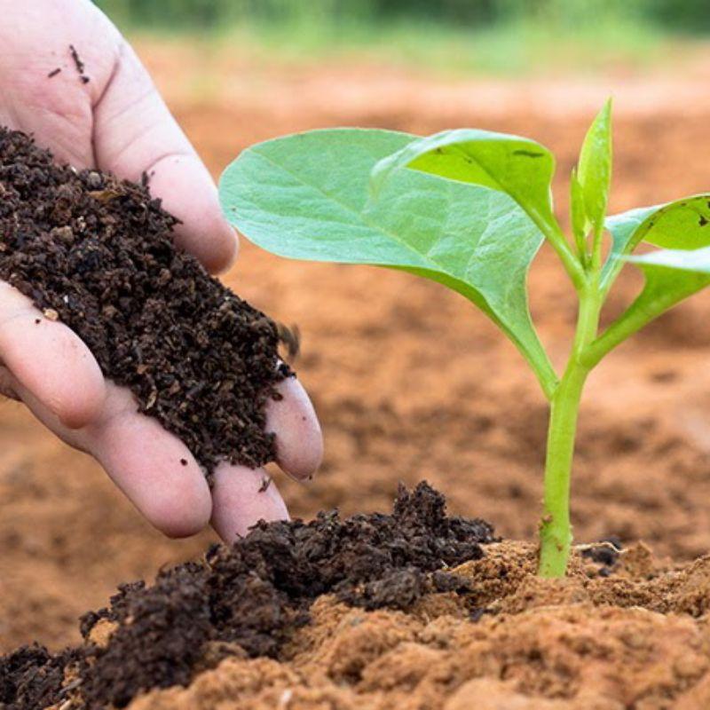 Phân bò hưu cơ đã qua xử lý túi 3dm LAVAMIX giàu dinh dưởng cung cấp cho cây trồng rau màu-duoc-ban-tai-Vỉa Hè Garden