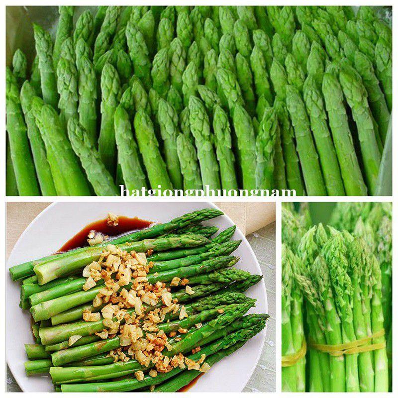 Hạt giống măng tây xanh chất lượng F1 dể trồng-duoc-ban-tai-Vỉa Hè Garden