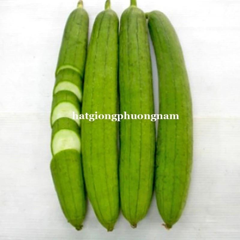Hạt Giống Mướp Hương Túi 15 Hạt. Chất Lượng Dễ Trồng-duoc-ban-tai-Vỉa Hè Garden