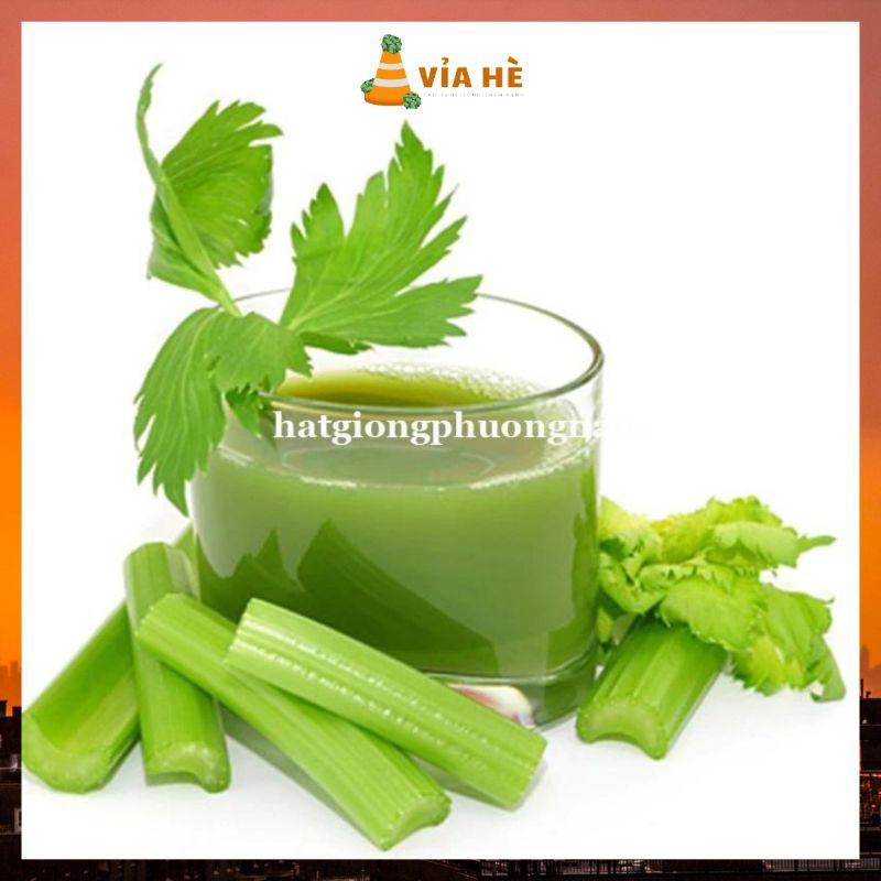 Hạt Giống Rau Cần Tây Dễ Trồng Túi 3gr, Chất Lượng Tỷ Lệ Nảy Mầm Cao-duoc-ban-tai-Vỉa Hè Garden