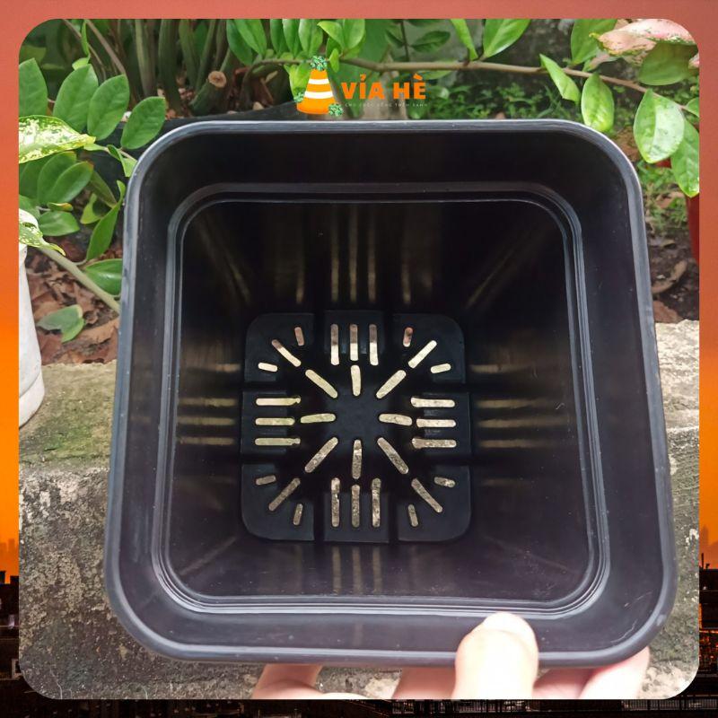 chậu nhựa cứng vuông đen trồng cây cảnh kiểng lá 18x23 Thakico giá tại xưởng, trồng rau hoa sân thượng-duoc-ban-tai-Vỉa Hè Garden