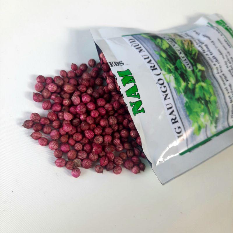Hạt Giống Rau Ngò Gói 20g Giá Rẻ-duoc-ban-tai-Vỉa Hè Garden