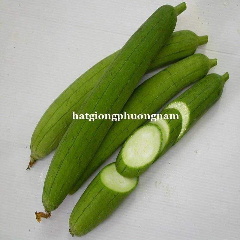 Hạt Giống Mướp Hương Túi 15 Hạt. Chất Lượng Dễ Trồng-duoc-ban-tai-Vỉa Hè Garden