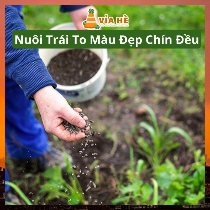 Phân Bón Tổng Hợp NPK Minro 15-5-20 túi 200g, Chuyên Cho Cây Ăn Trái Và Hoa Kiểng-duoc-ban-tai-Vỉa Hè Garden