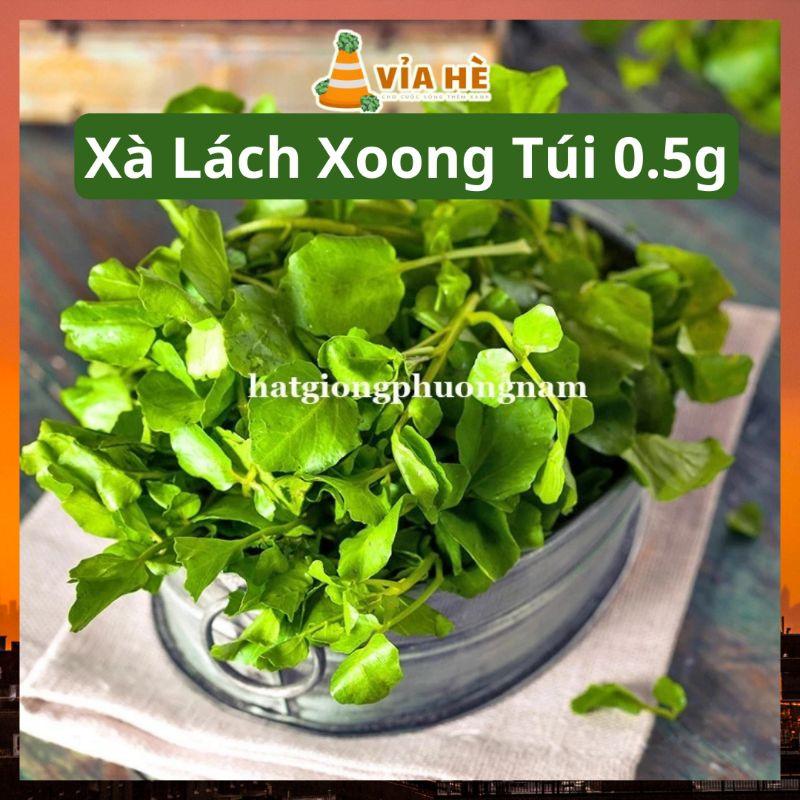 Hạt Giống Rau Xà Lách Xoong Túi 0.5g, Chất Lượng Dễ Trồng, Rau Cải Xoong-duoc-ban-tai-Vỉa Hè Garden