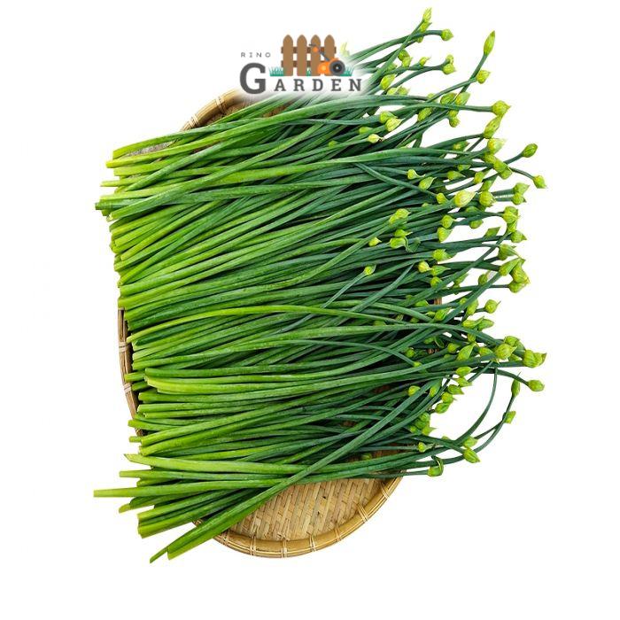 Hạt giống bông hẹ - 1 Gram-duoc-ban-tai-Vỉa Hè Garden