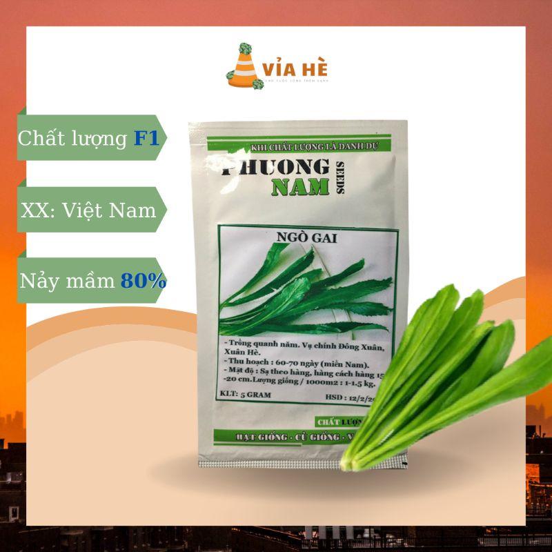 Hạt Giống Ngò Gai, Chất Lượng F1 - gói 5g-duoc-ban-tai-Vỉa Hè Garden