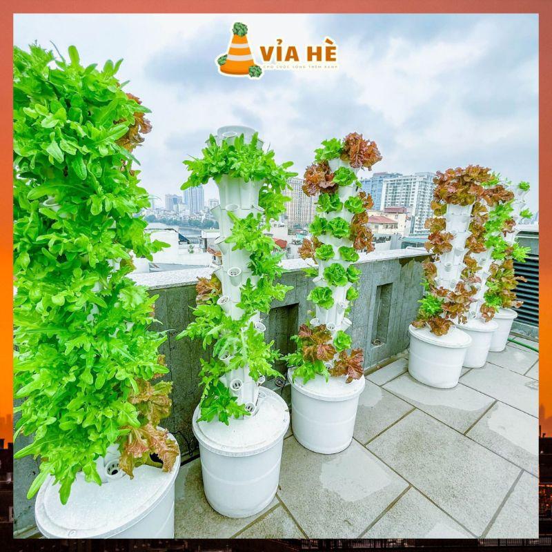 Phân Bón Thủy Canh Hydroponic Lavamix chai 100ml, Dung Dịch Thủy Sinh Cho Hệ Thống Thủy Canh, Cho Sen Súng, An Toàn-duoc-ban-tai-Vỉa Hè Garden