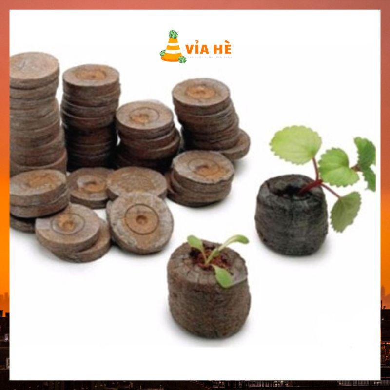 Viên nén ươm hạt túi 10 viên xơ dừa kích nảy mầm-duoc-ban-tai-Vỉa Hè Garden