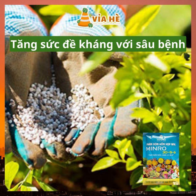Phân Bón NPK Tổng Hợp Minro 30-9-9 Túi 200g, Chuyên Cho Rau, Cây Ăn Trái, Hoa Kiểng-duoc-ban-tai-Vỉa Hè Garden