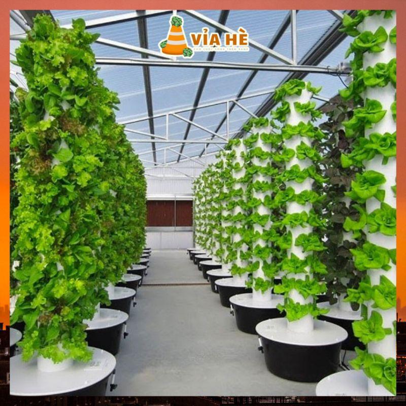 Phân Bón Thủy Canh Hydroponic Lavamix chai 100ml, Dung Dịch Thủy Sinh Cho Hệ Thống Thủy Canh, Cho Sen Súng, An Toàn-duoc-ban-tai-Vỉa Hè Garden