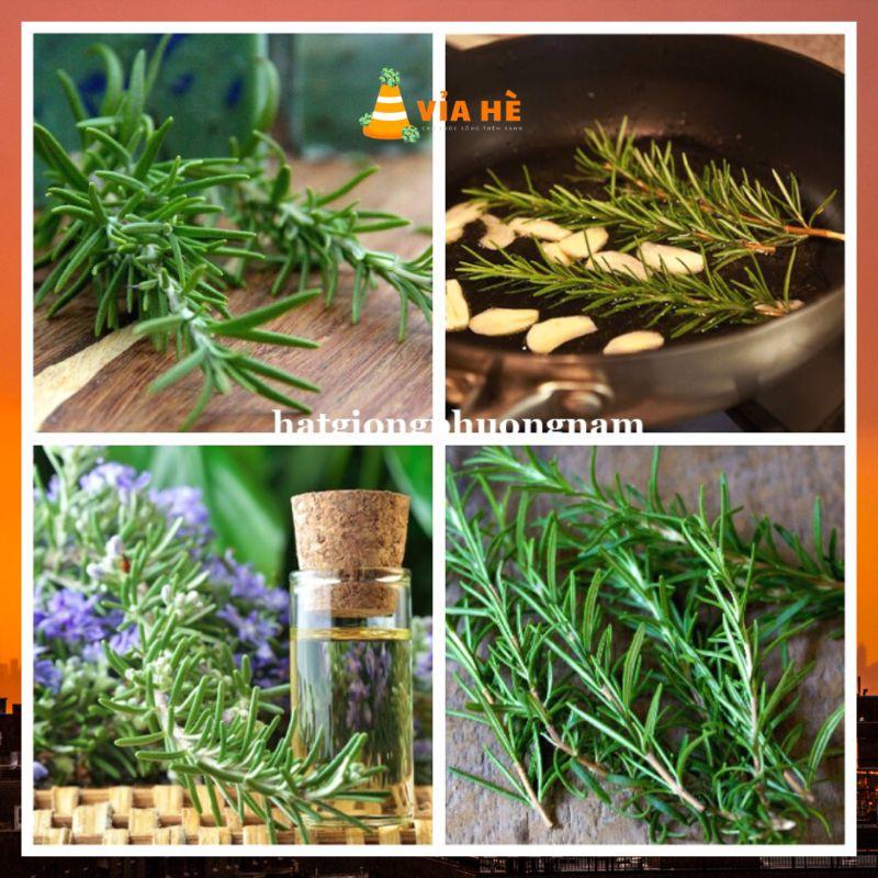 Hạt giống hương thảo túi 15 hạt chất lượng F1-duoc-ban-tai-Vỉa Hè Garden