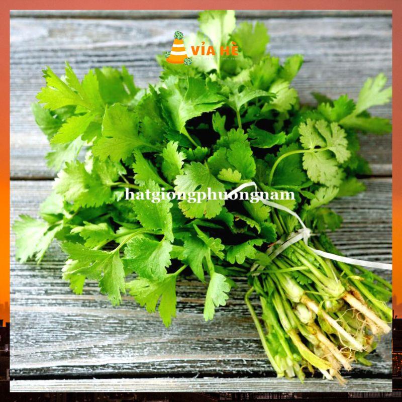 Hạt Giống Rau Ngò Gói 20g Giá Rẻ-duoc-ban-tai-Vỉa Hè Garden