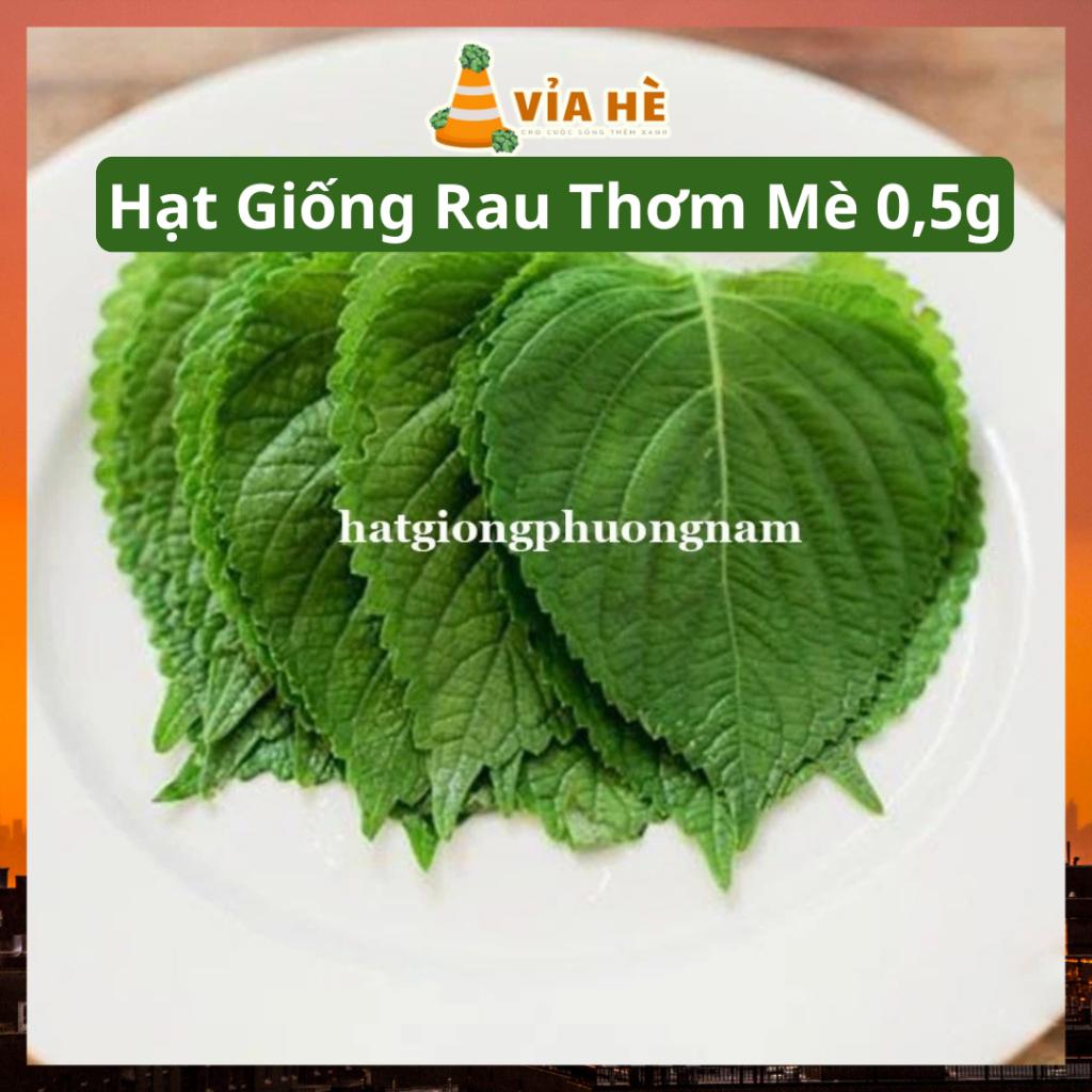 Hạt giống rau thơm mè hàn quốc túi 0,5g, dễ trồng hạt giống phương nam-duoc-ban-tai-Vỉa Hè Garden