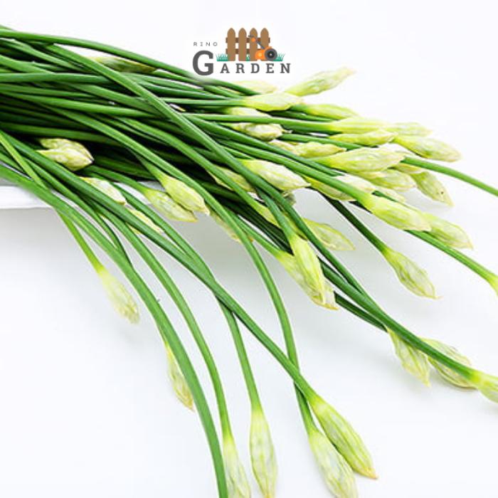Hạt giống bông hẹ - 1 Gram-duoc-ban-tai-Vỉa Hè Garden