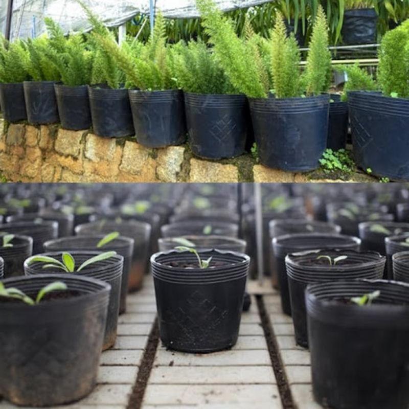 Chậu dẻo C5 mini trồng cây ươm giống chậu mềm trồng cây mini C5 10x10cm-duoc-ban-tai-Vỉa Hè Garden