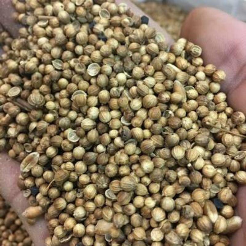 Hạt Giống Ngò Gai, Chất Lượng F1 - gói 5g-duoc-ban-tai-Vỉa Hè Garden