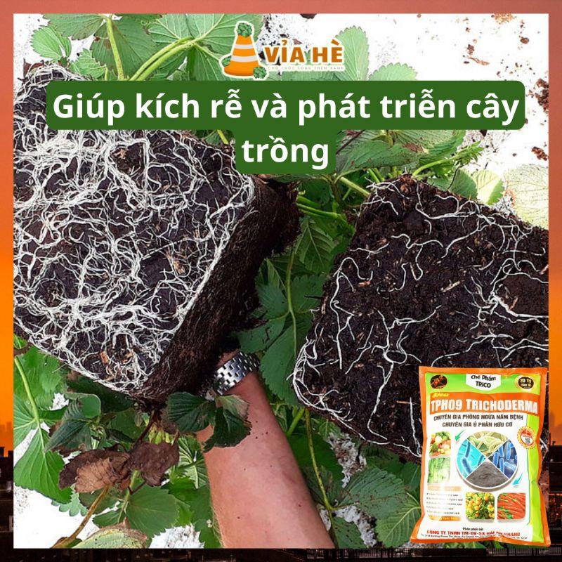 Nấm Đối Kháng Trichoderma Túi 1kg, Chế Phẩm Ủ Rác Nhà Bếp Nhà Vườn, Tăng Sức Đề Kháng Phòng Ngừa Nấm Bệnh-duoc-ban-tai-Vỉa Hè Garden