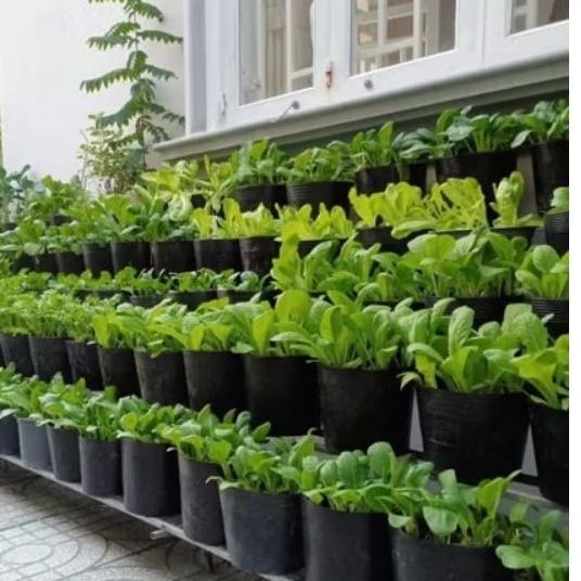 Chậu dẻo C5 mini trồng cây ươm giống chậu mềm trồng cây mini C5 10x10cm-duoc-ban-tai-Vỉa Hè Garden