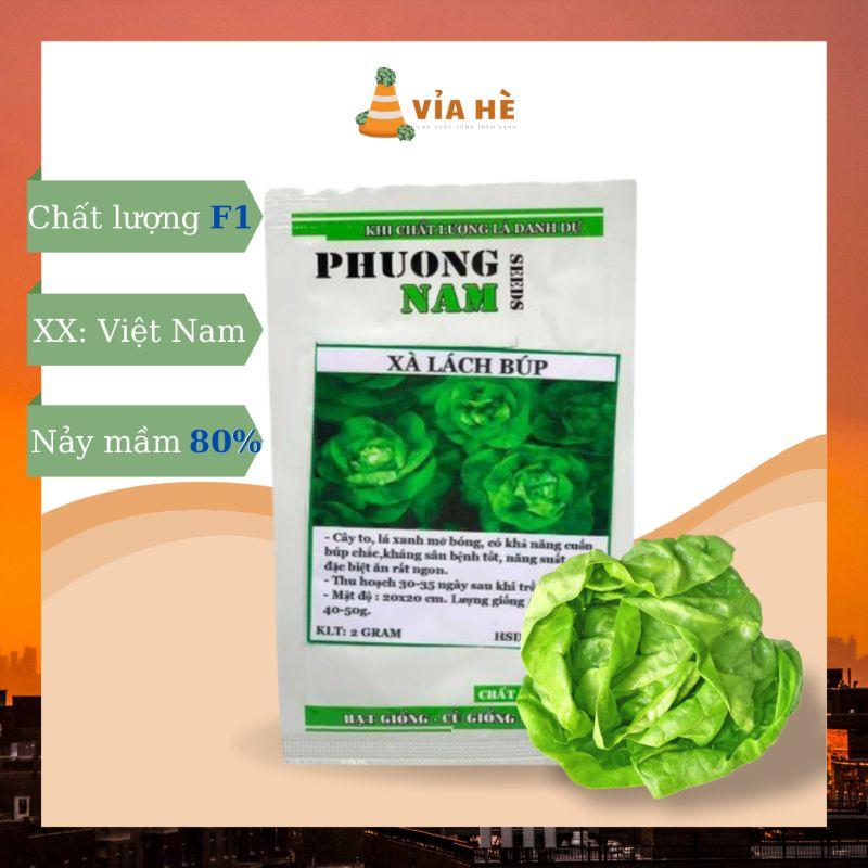 Hạt Giống Xà Lách Búp, Chất Lượng F1 - gói 2g-duoc-ban-tai-Vỉa Hè Garden