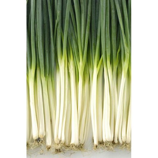Hạt Giống Hành Lá Gói 2g-duoc-ban-tai-Vỉa Hè Garden