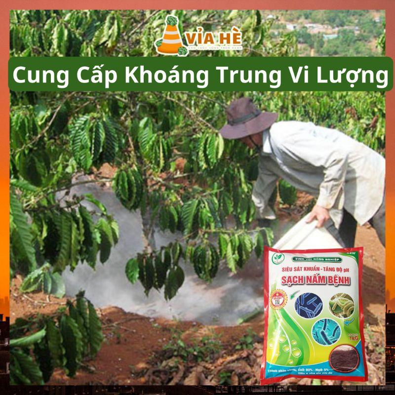 Tinh Vôi Nông Nghiệp Túi 1kg Siêu Sát Khuẩn Sạch Mầm Bệnh, Cải Tạo Đất Ổn Định Độ PH-duoc-ban-tai-Vỉa Hè Garden