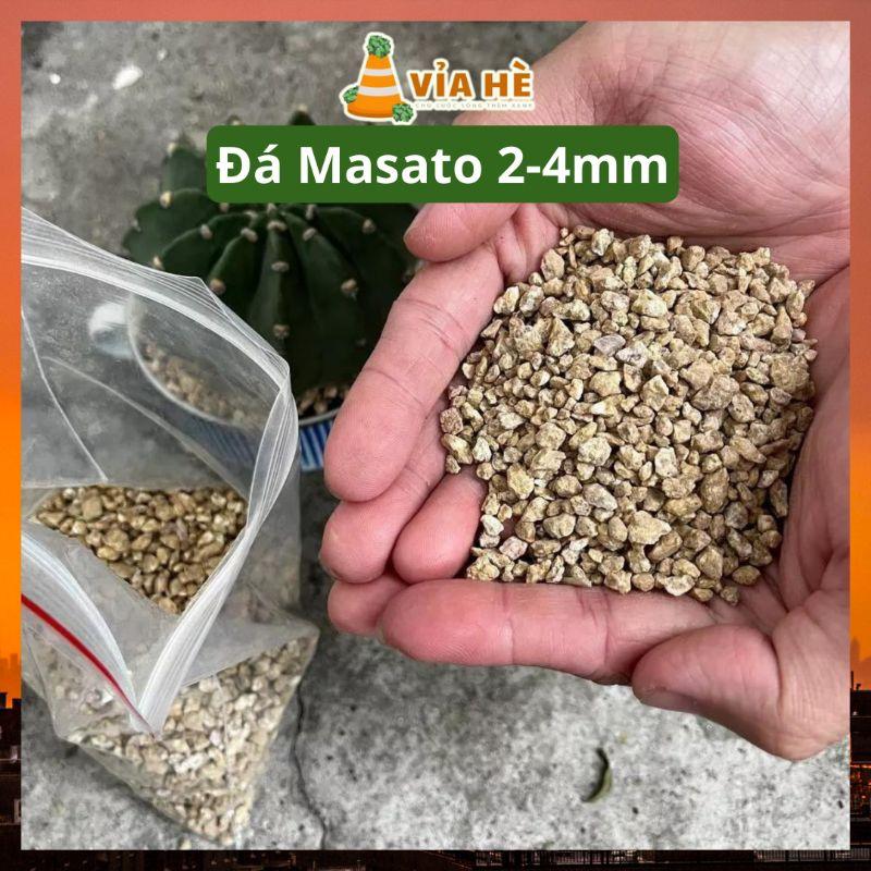 Giá thể trồng sen đá xương rồng, đá cầu vồng, đá ngũ sắc, zeolite, masato, lava đen, lava đỏ, pumice, perlite-duoc-ban-tai-Vỉa Hè Garden