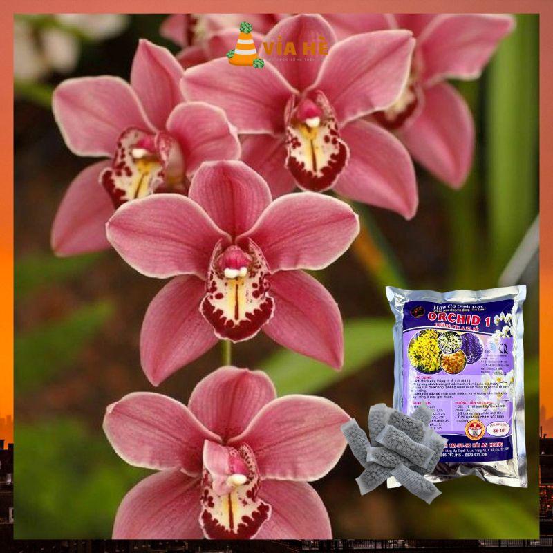 Phân Bón Hưu Cơ Sinh Học Túi Lưới Chuyên Cho Hoa Lan, Kiểng Lá, Sen Đá, Túi Lưới Tan Chậm, Dưởng Cây Ra Rễ ORCHID1-duoc-ban-tai-Vỉa Hè Garden