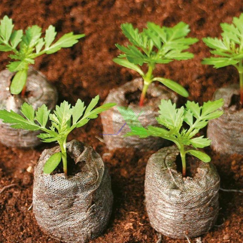 Viên nén ươm hạt túi 10 viên xơ dừa kích nảy mầm-duoc-ban-tai-Vỉa Hè Garden