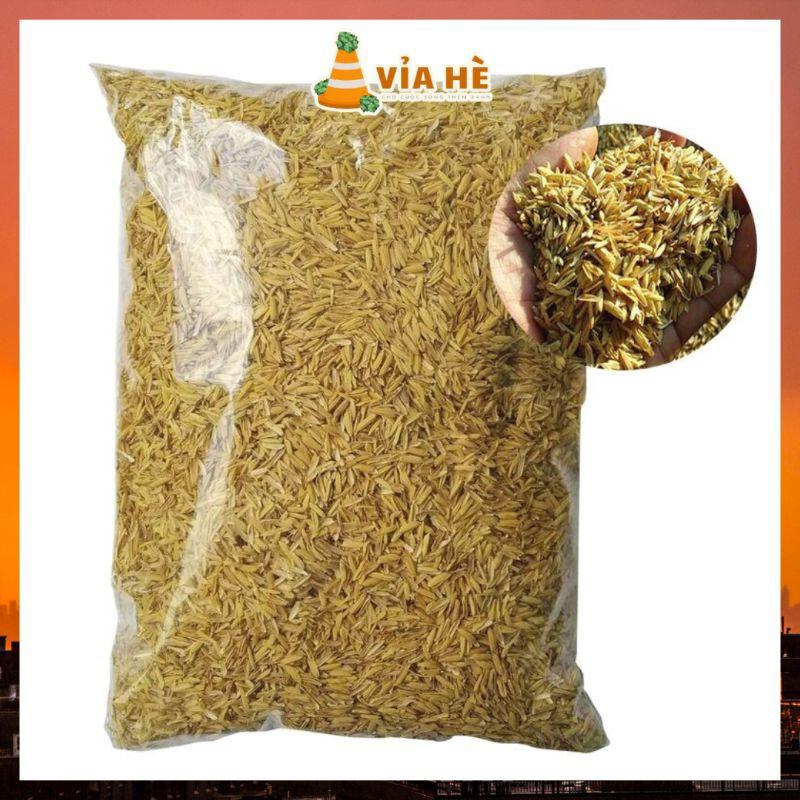 Vỏ trấu tươi trấu sống trồng rau, trộn đất cải tạo làm tới xốp đất túi 5dm³-duoc-ban-tai-Vỉa Hè Garden