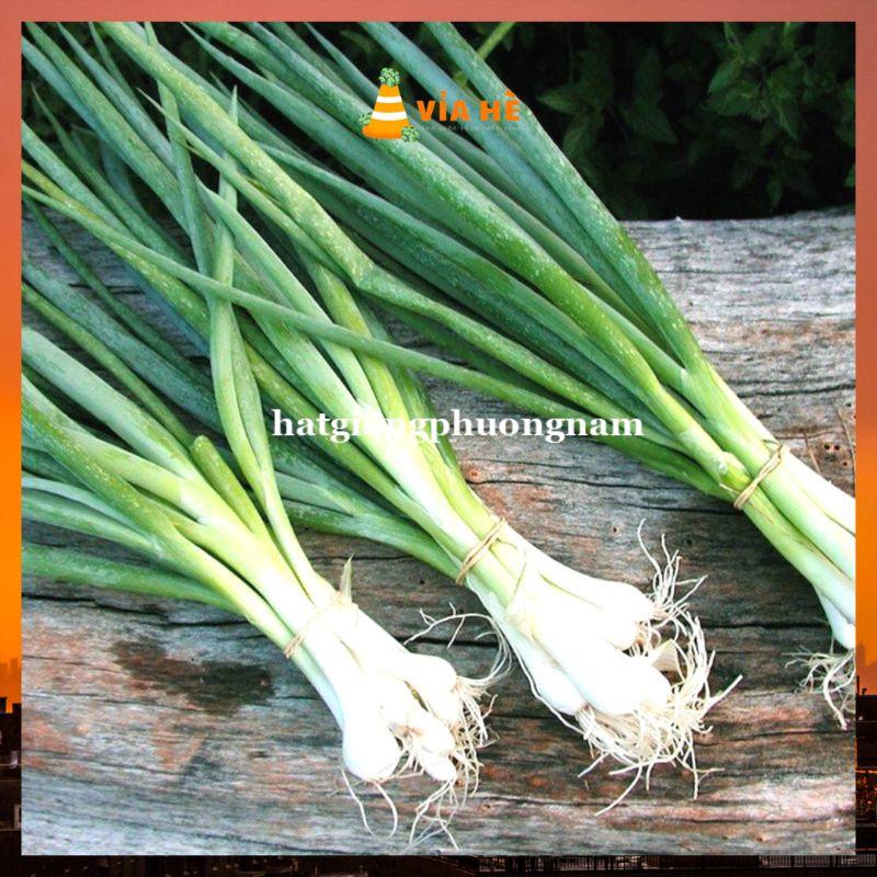 Hạt Giống Hành Lá Gói 2g-duoc-ban-tai-Vỉa Hè Garden