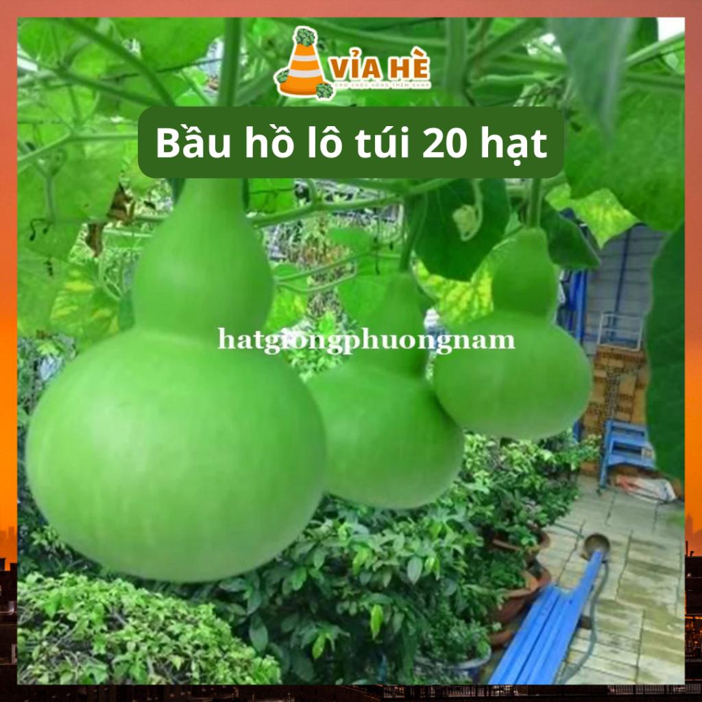 Hạt giống bầu hồ lô túi 20 hạt, giống chất lượng dễ trồng-duoc-ban-tai-Vỉa Hè Garden