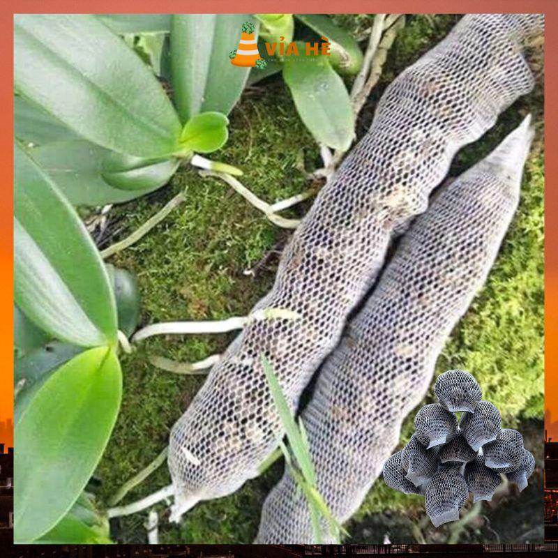 Phân Dê Trồng Lan, Kiểng Lá, VIAHE, Bao 25 Túi Lưới 10cm, Đã Qua Xử Lý Giảm Mùi, Dưởng Thân Kích Rễ, Ra Hoa, Bao 25 tép-duoc-ban-tai-Vỉa Hè Garden