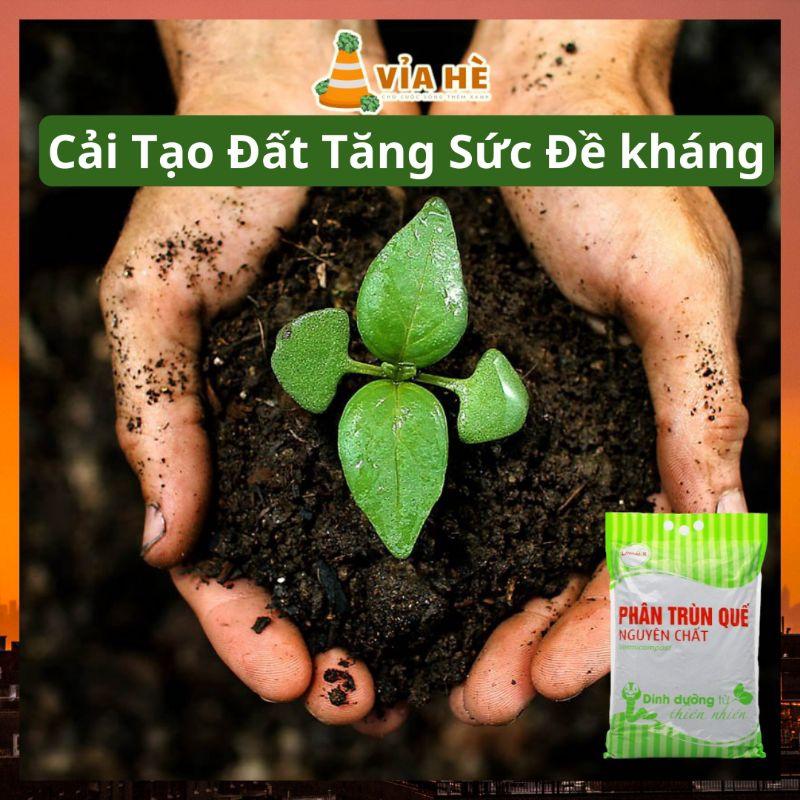 Phân Trùn Quế Lavamix Túi 2kg, Đã Qua Xử Lý, Phân Dạng Bột Sử Dụng Cho Tất Cả Cây Trồng-duoc-ban-tai-Vỉa Hè Garden