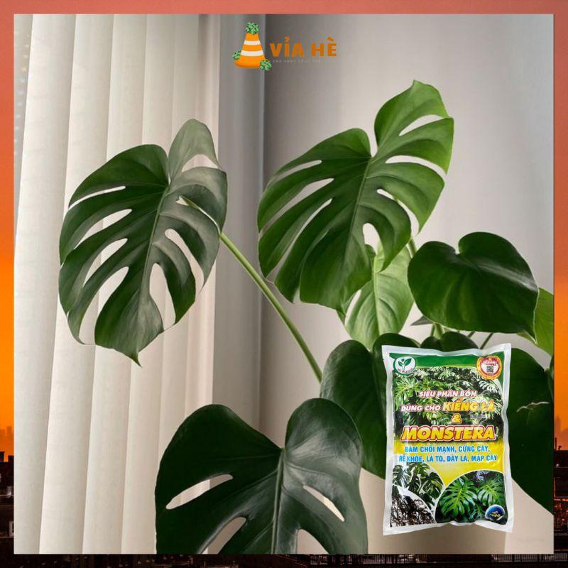 Siêu Phân Bón Dùng Cho Kiểng Lá VIAHE, Túi 700g, Cây Trầu Bà Monstera, Cây Nhiệt Đới Trong Nhà, Đâm Chồi Cứng Thân-duoc-ban-tai-Vỉa Hè Garden
