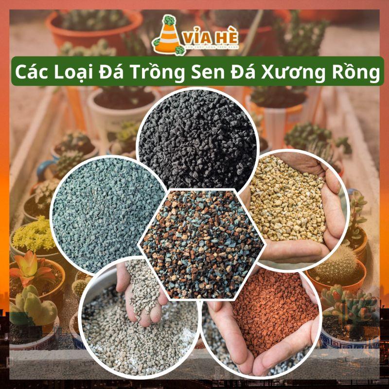Giá thể trồng sen đá xương rồng, đá cầu vồng, đá ngũ sắc, zeolite, masato, lava đen, lava đỏ, pumice, perlite-duoc-ban-tai-Vỉa Hè Garden