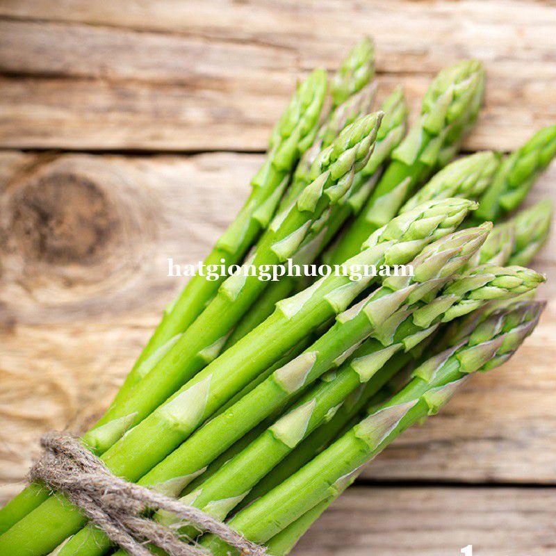 Hạt giống măng tây xanh chất lượng F1 dể trồng-duoc-ban-tai-Vỉa Hè Garden