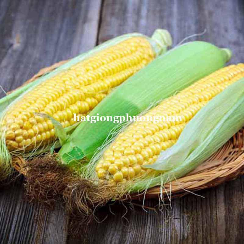 Hạt giống bắp mỹ ngô ngọt chất lượng F1 dễ trồng-duoc-ban-tai-Vỉa Hè Garden