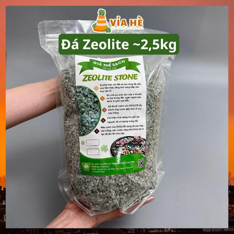 Giá thể trồng sen đá xương rồng, đá cầu vồng, đá ngũ sắc, zeolite, masato, lava đen, lava đỏ, pumice, perlite-duoc-ban-tai-Vỉa Hè Garden