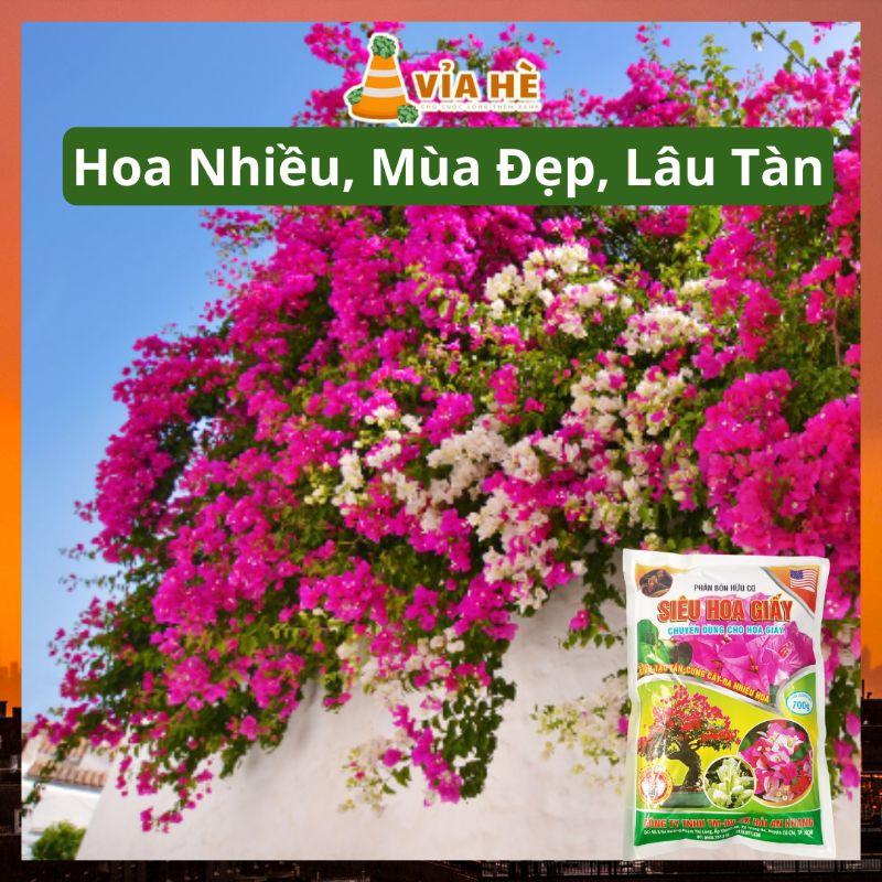Phân Hưu Cơ Cho Hoa Giấy Và Hoa Sứ Nóng Túi 700g, Cải Tạo Đất Kích Rễ, Nhiều Hoa, Lâu Tàn-duoc-ban-tai-Vỉa Hè Garden